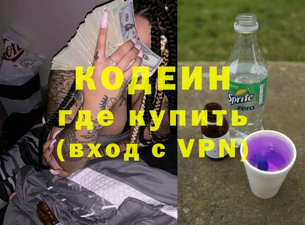 индика Арсеньев
