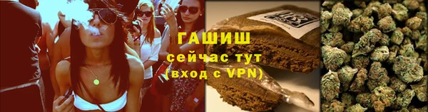 индика Арсеньев