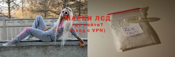 индика Арсеньев