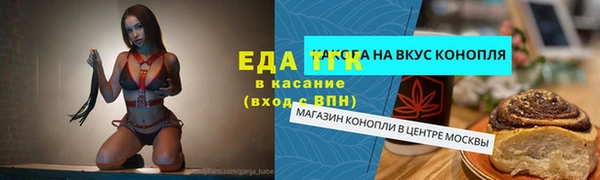 индика Арсеньев