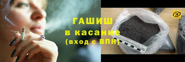 индика Арсеньев