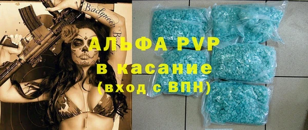 индика Арсеньев