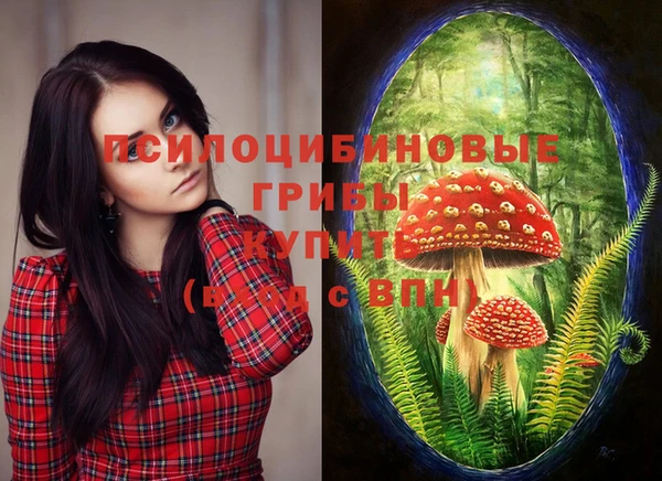 MESCALINE Аркадак