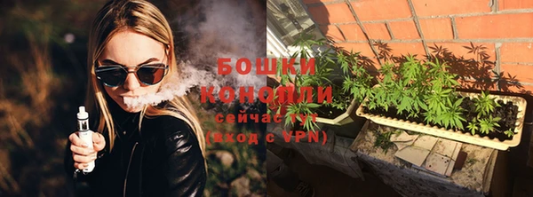 индика Арсеньев