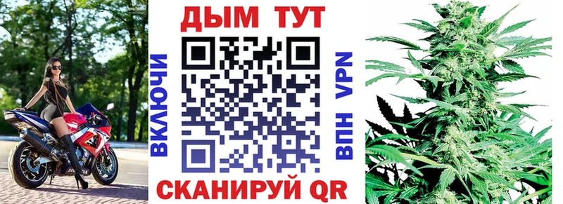 Конопля Amnesia  Судак 
